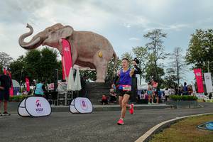 BIB: 
                            <button type="button" onclick="openModal(26528890)" class="btn btn-primary btn-sm float-right btn-popup" data-toggle="modal" data-target=".modal-high-quality">
                        <i class="fas fa-shopping-cart"></i> Add to Cart
                    </button>
                                            <button type="button" onclick="isThisMe(26528890, true)" class="btn btn-success btn-sm float-right btn-popup btn-isme hidden" data-toggle="tooltip" data-placement="bottom" title="นี่คือรูปของคุณใช่ไหม คลิกที่นี่เพื่อเอาเข้าอัลบั้ม">
                        <i class="fas fa-plus"></i> Add to album
                    </button>
                    <button type="button" onclick="isThisMe(26528890, false)" class="btn btn-warning btn-sm float-right btn-popup btn-isnotme hidden">
                        <i class="fas fa-ban"></i> Remove from album
                    </button>